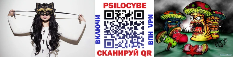 Псилоцибиновые грибы Psilocybine cubensis  как найти   Поворино 